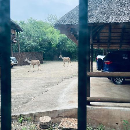 John And Noleen'S Place Marloth Park Exterior foto
