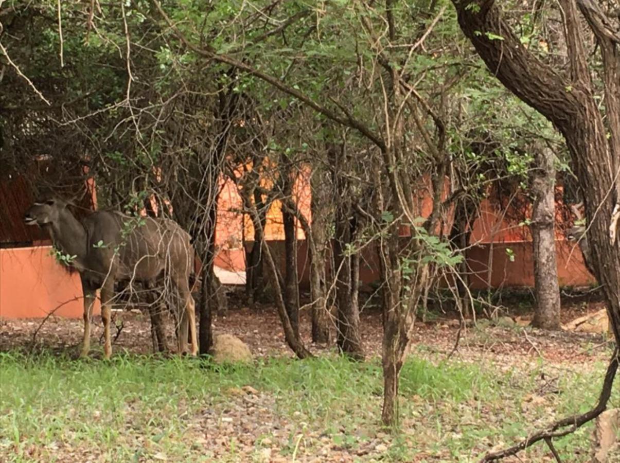 John And Noleen'S Place Marloth Park Exterior foto